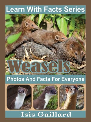 cover image of Weasels Photos and Facts for Everyone